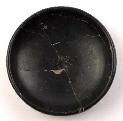 Marian Venceslá Delgado (CERES)